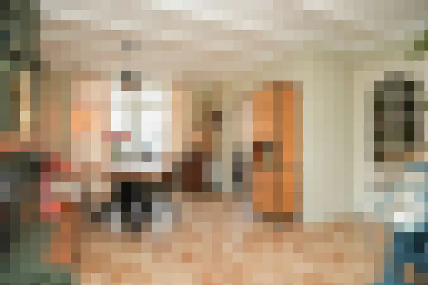 Molenstraat 33 Kerkdriel thumbnail 11
