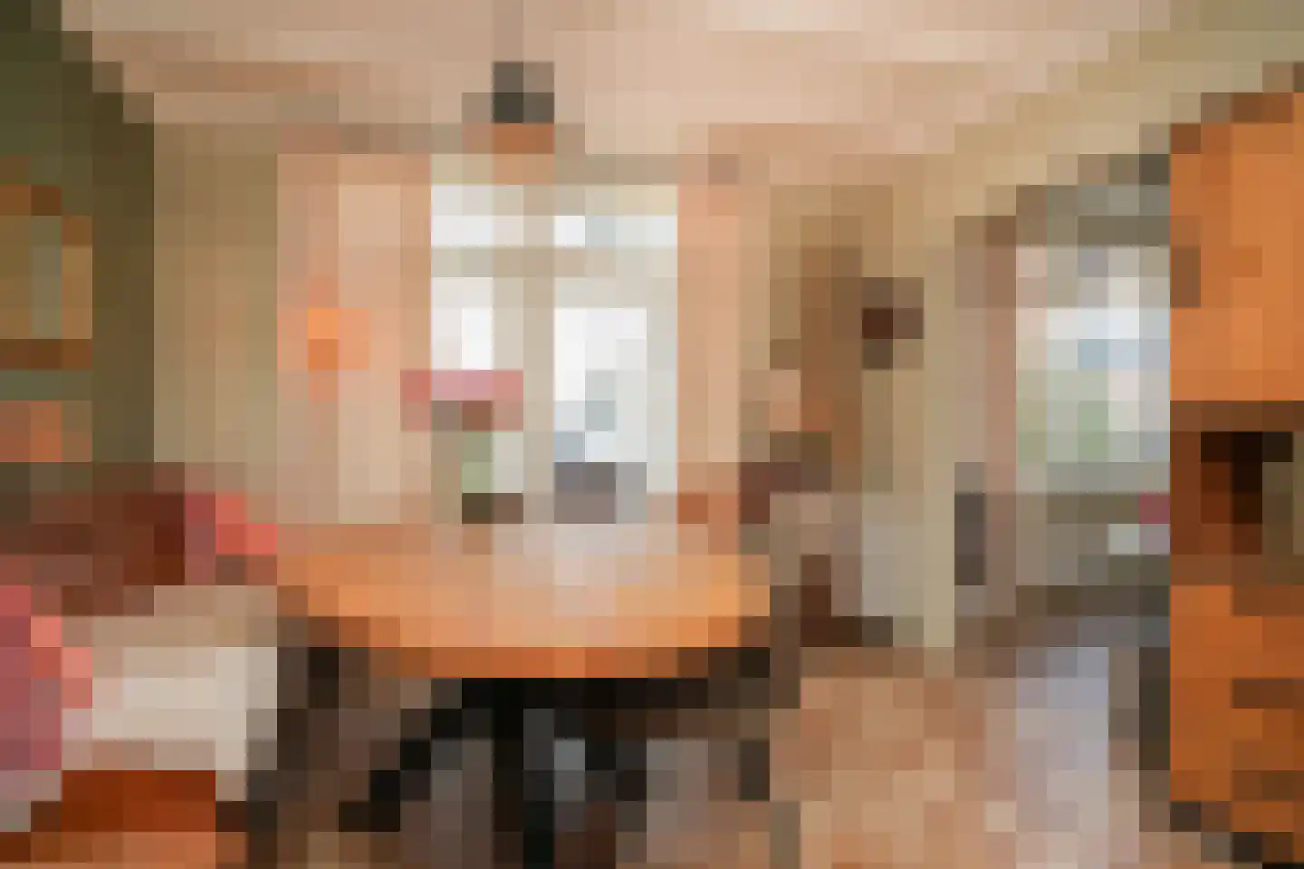 Molenstraat 33 Kerkdriel thumbnail 16