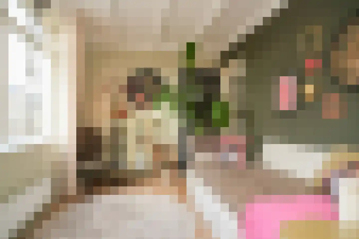 Molenstraat 33 Kerkdriel thumbnail 18