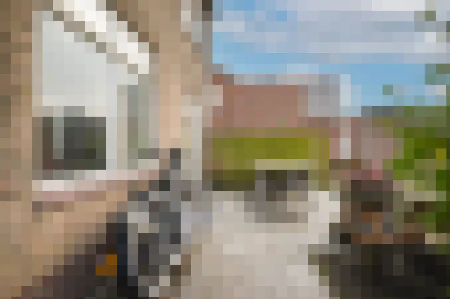 Molenstraat 33 Kerkdriel thumbnail 35