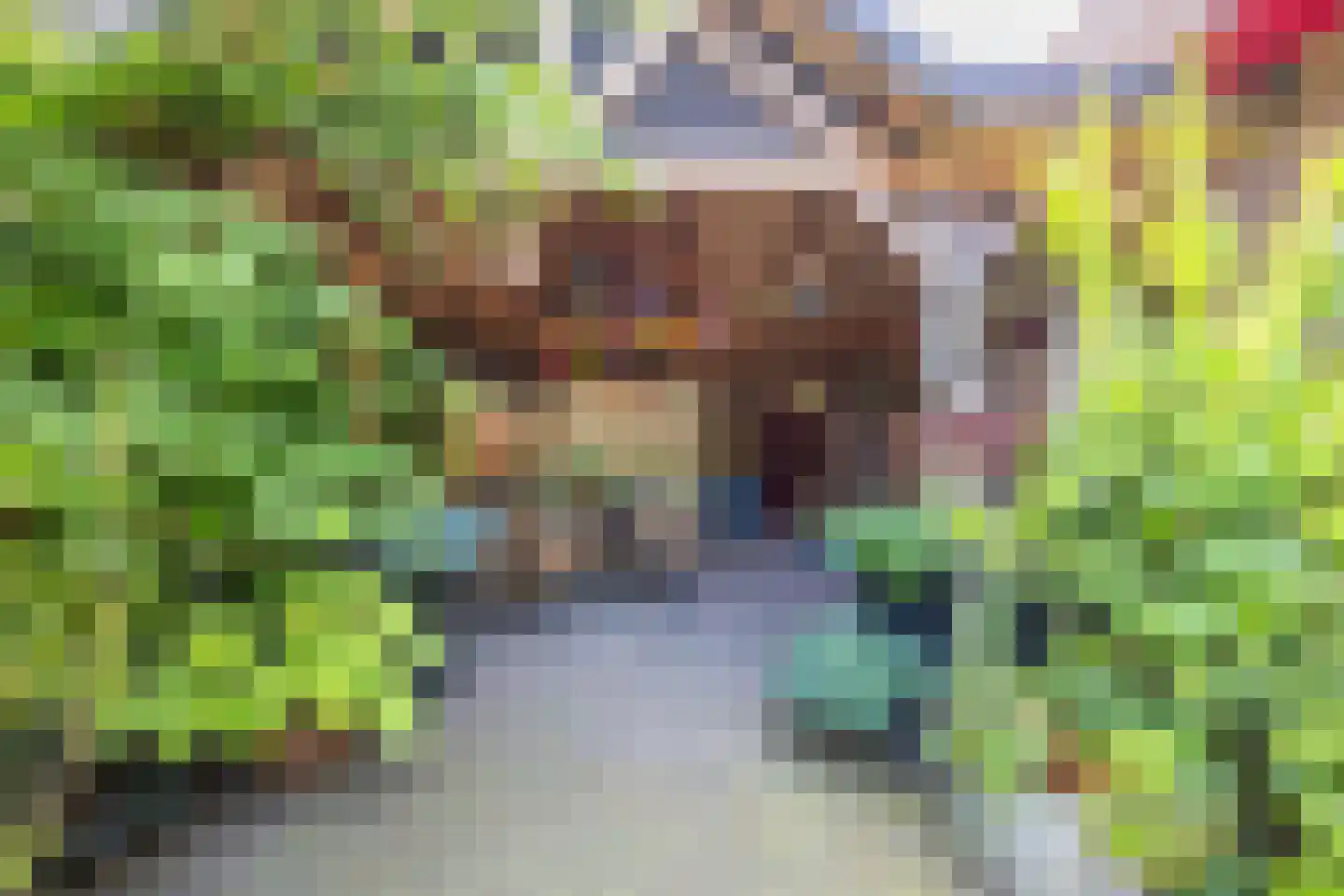 Molenstraat 33 Lienden thumbnail 12