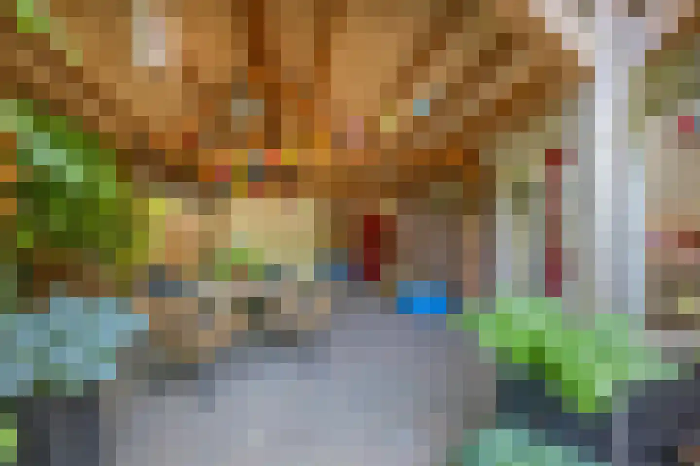 Molenstraat 33 Lienden thumbnail 13