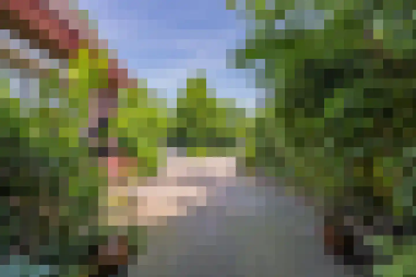 Molenstraat 33 Lienden thumbnail 14
