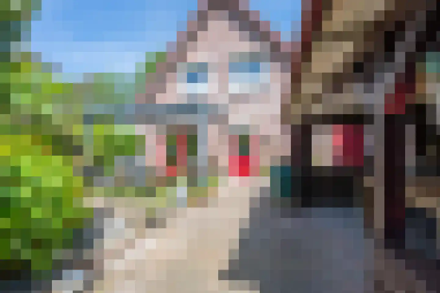 Molenstraat 33 Lienden thumbnail 31