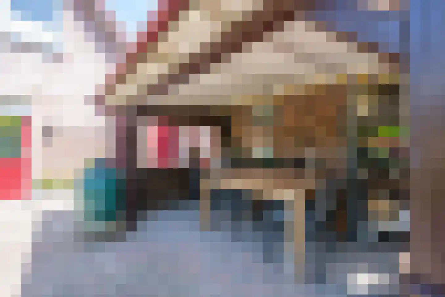 Molenstraat 33 Lienden thumbnail 32