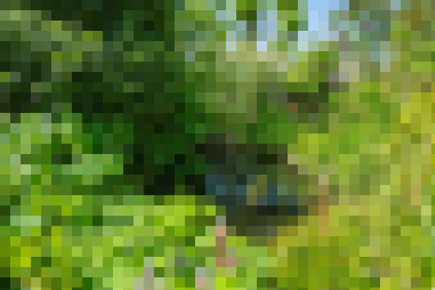 Molenstraat 33 Lienden thumbnail 35