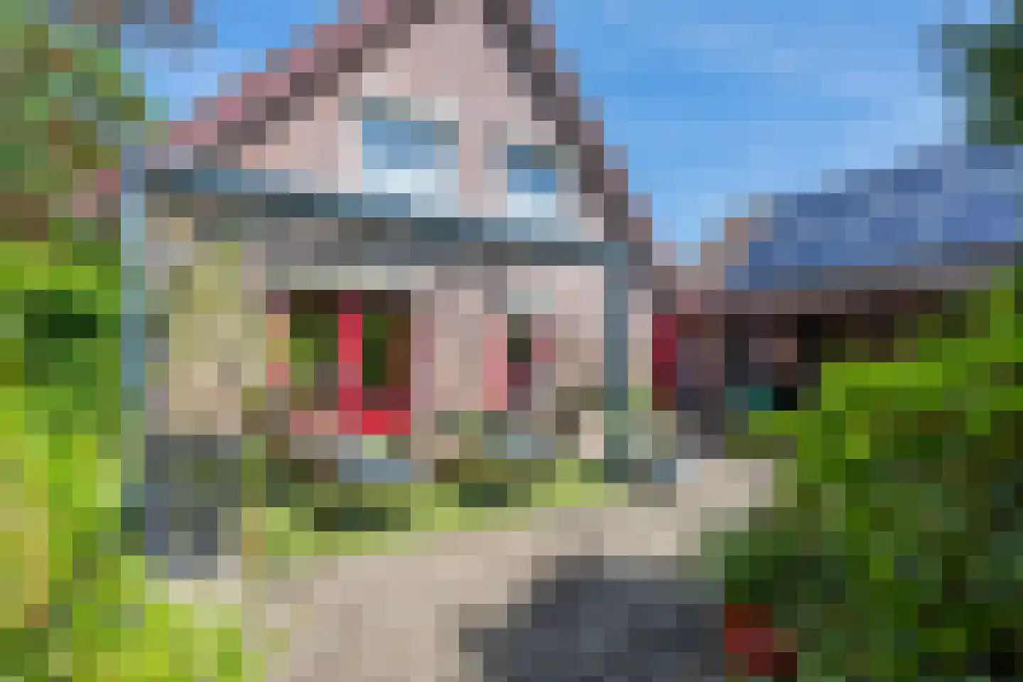Molenstraat 33 Lienden thumbnail 36