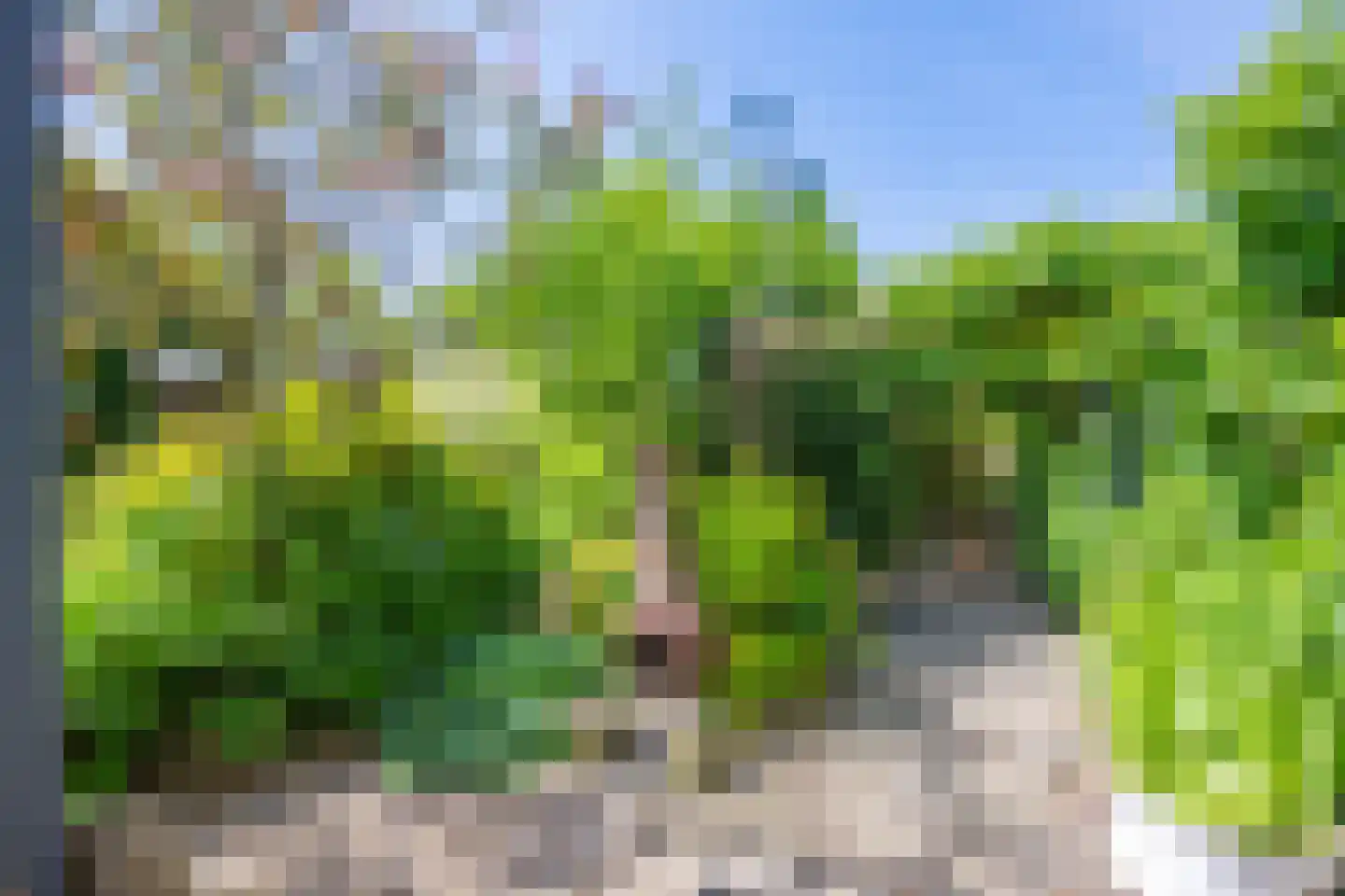 Molenstraat 33 Lienden thumbnail 37