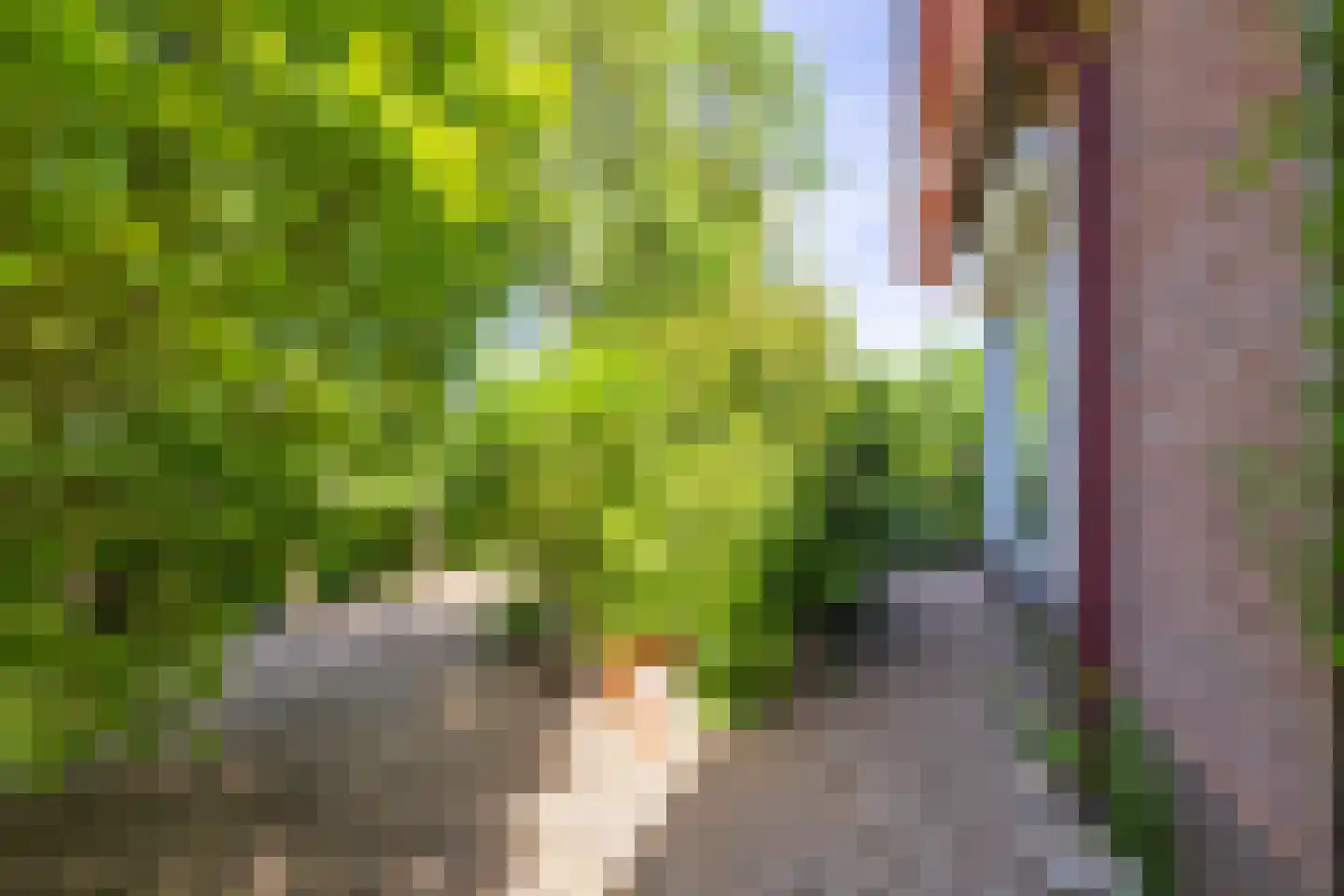 Molenstraat 33 Lienden thumbnail 42