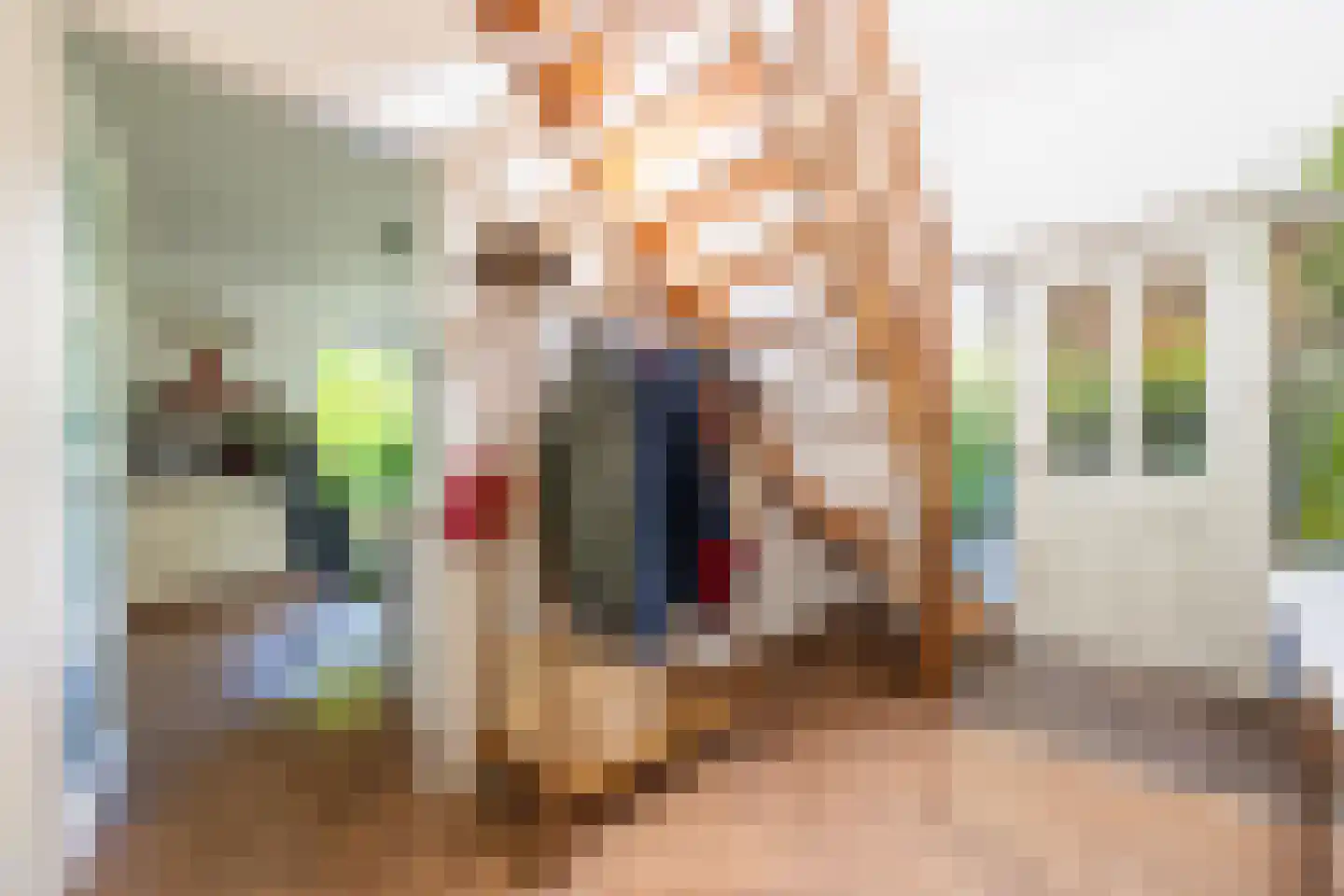 Molenstraat 33 Lienden thumbnail 45