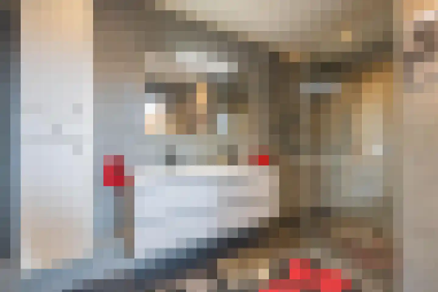 Molenstraat 33 Lienden thumbnail 47