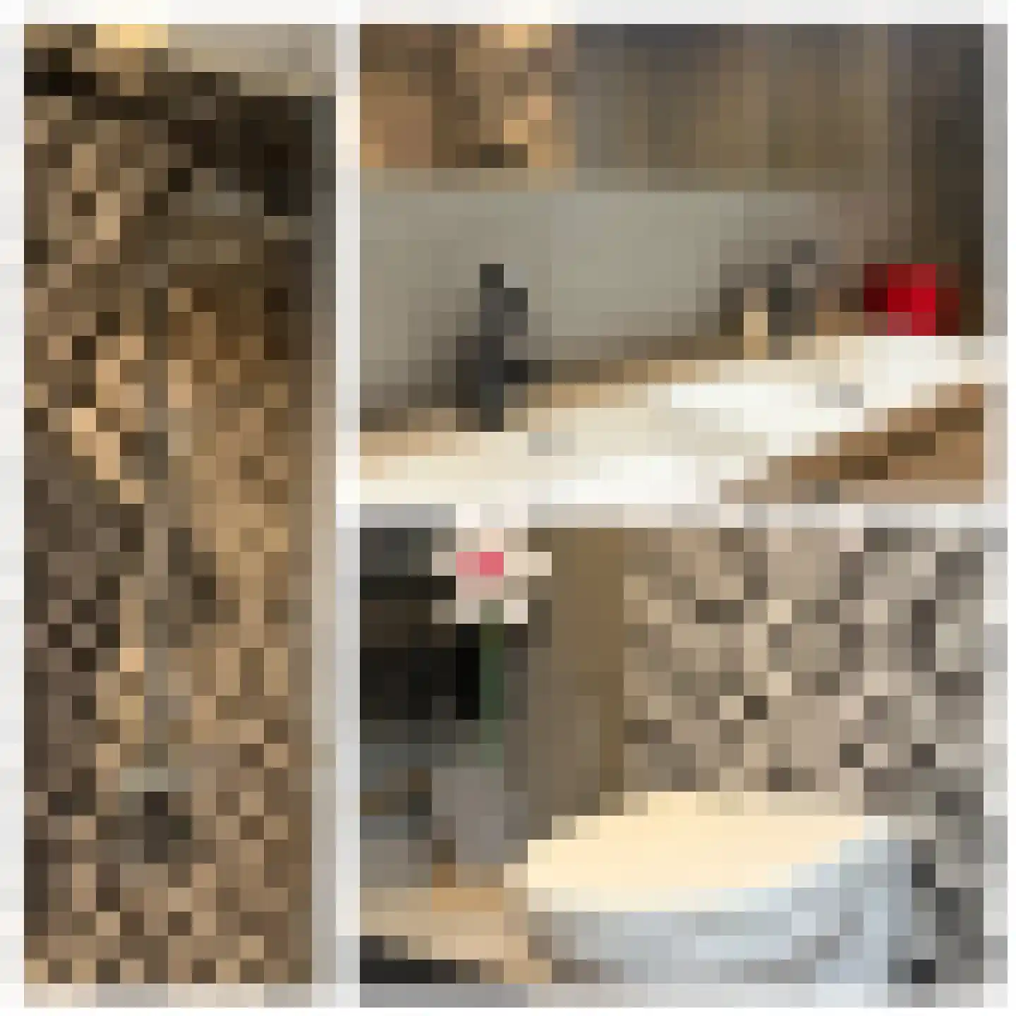 Molenstraat 33 Lienden thumbnail 48
