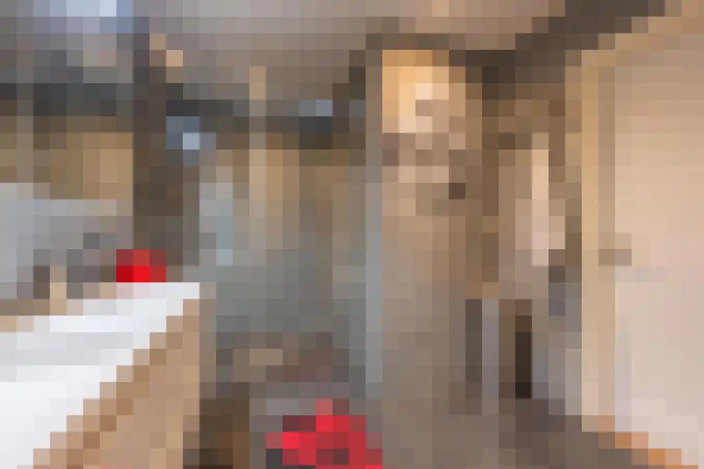 Molenstraat 33 Lienden thumbnail 49