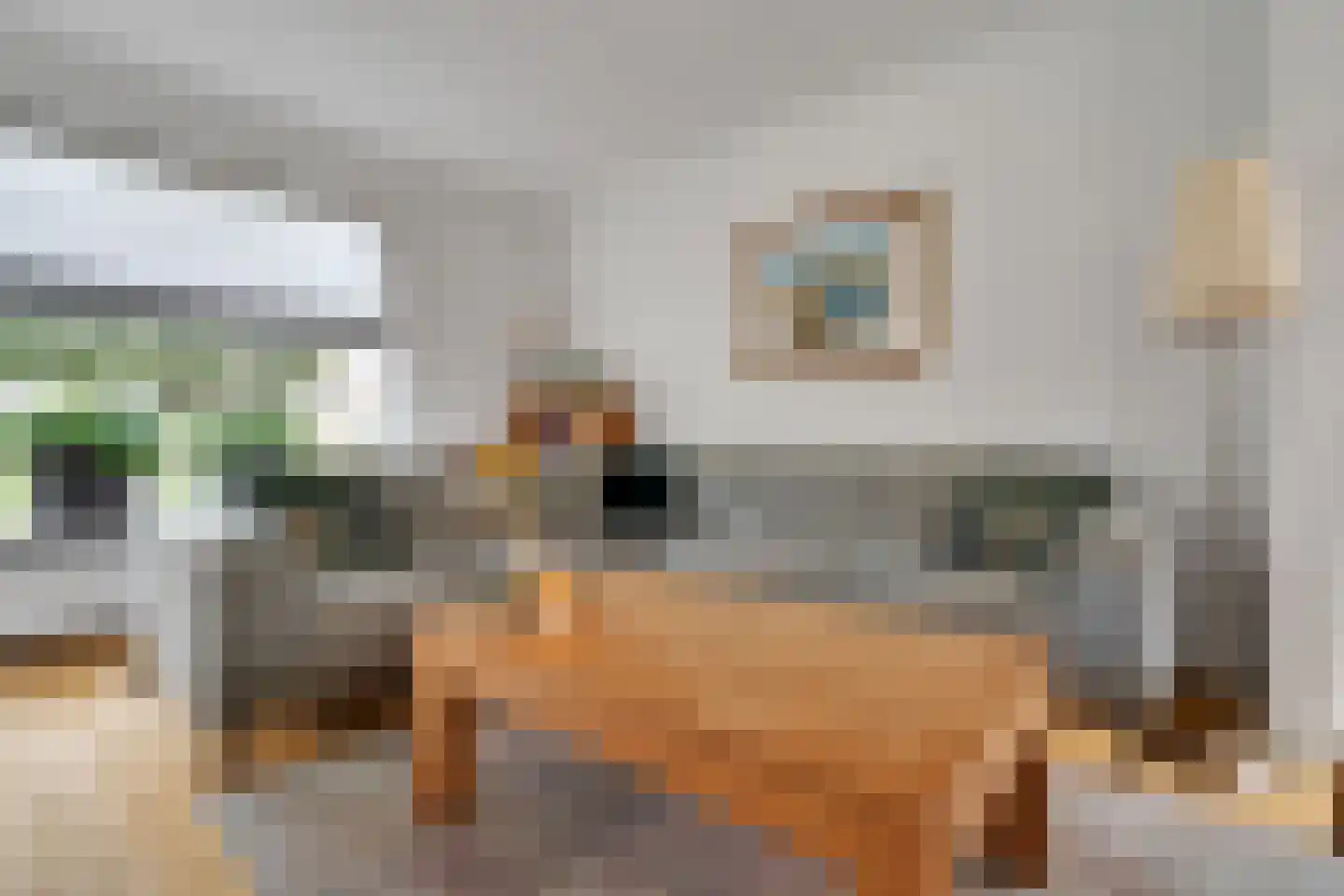 Molenstraat 33 Losser thumbnail 13