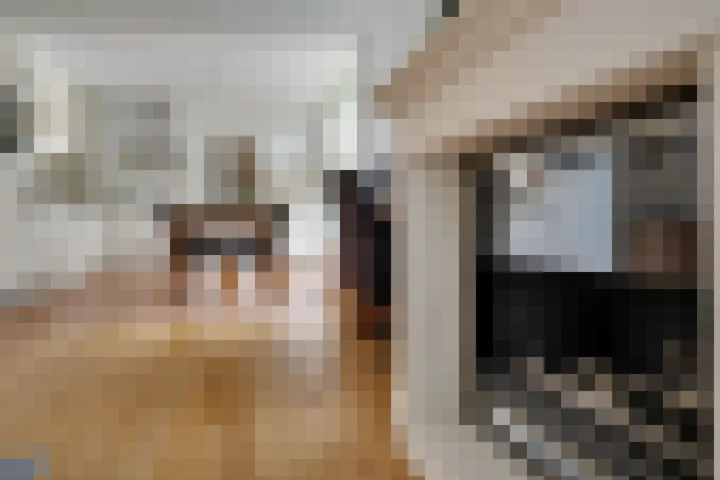 Molenstraat 33 Losser thumbnail 14