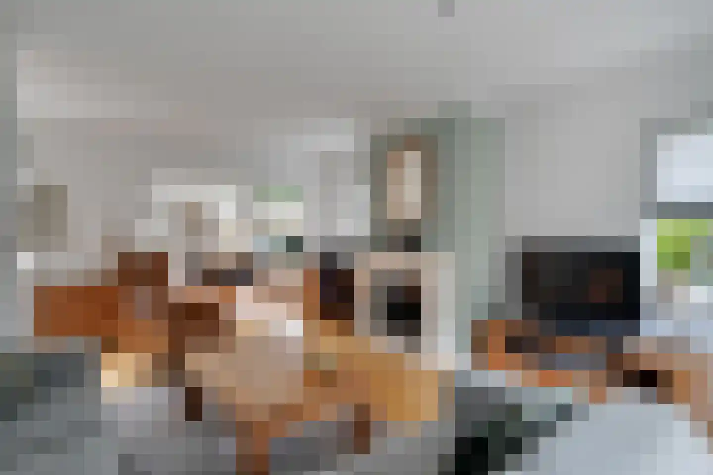 Molenstraat 33 Losser thumbnail 17