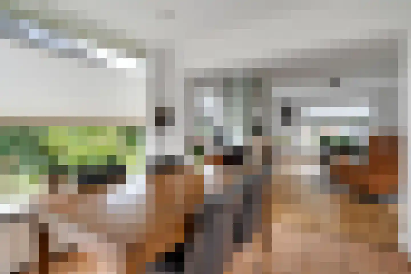 Molenstraat 33 Losser thumbnail 19