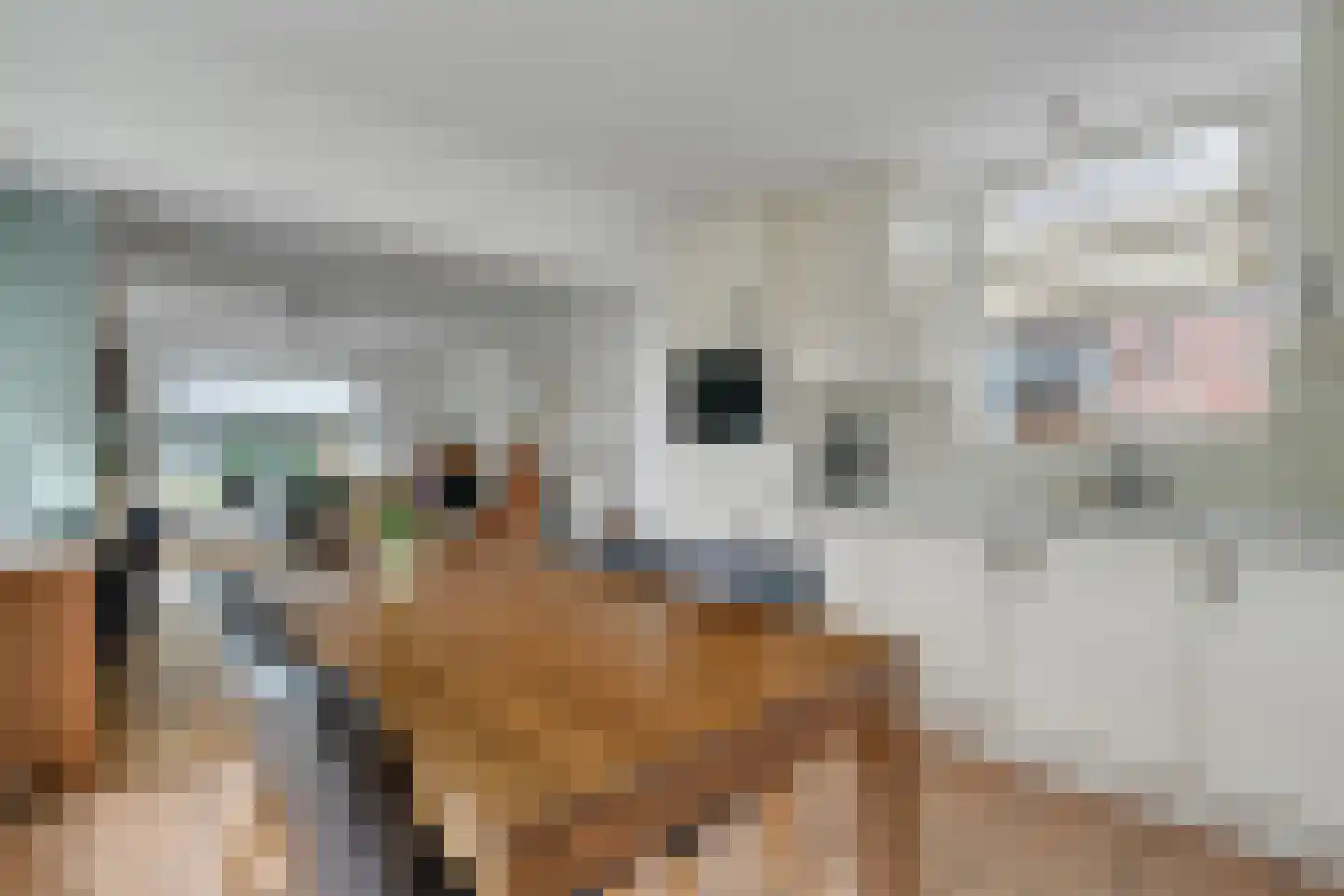 Molenstraat 33 Losser thumbnail 20
