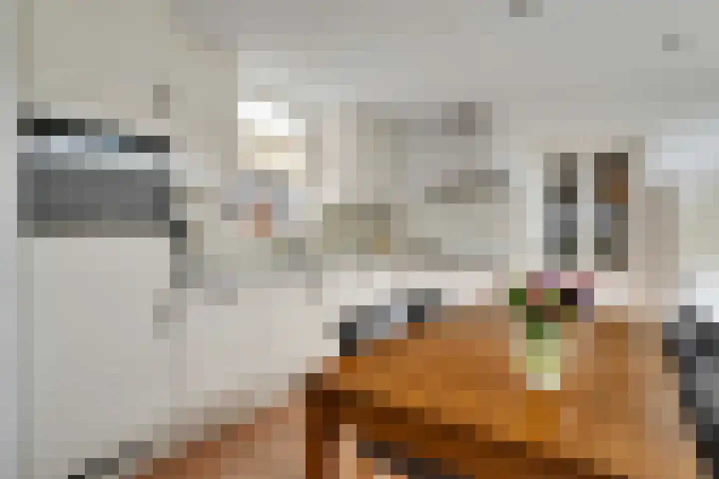 Molenstraat 33 Losser thumbnail 22