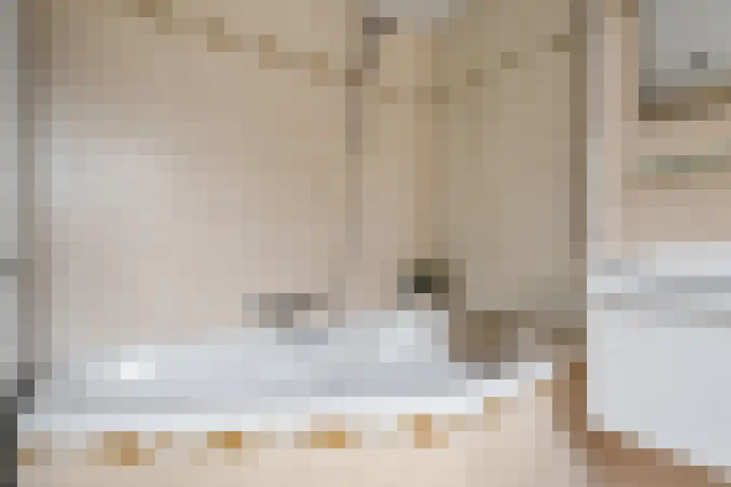 Molenstraat 33 Losser thumbnail 31