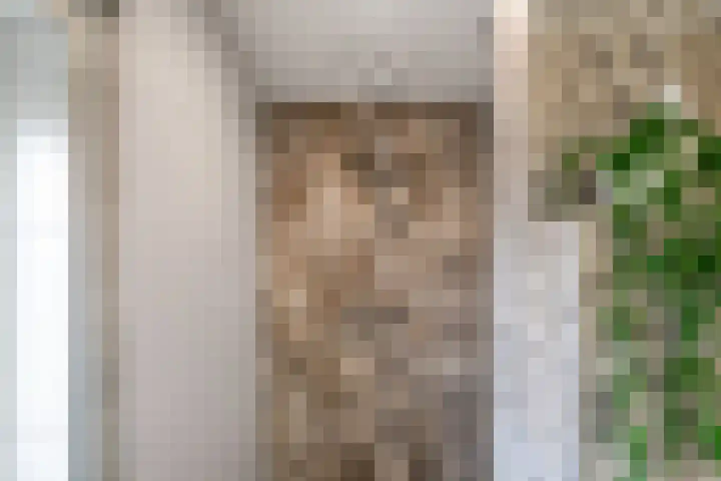 Molenstraat 33 Losser thumbnail 37