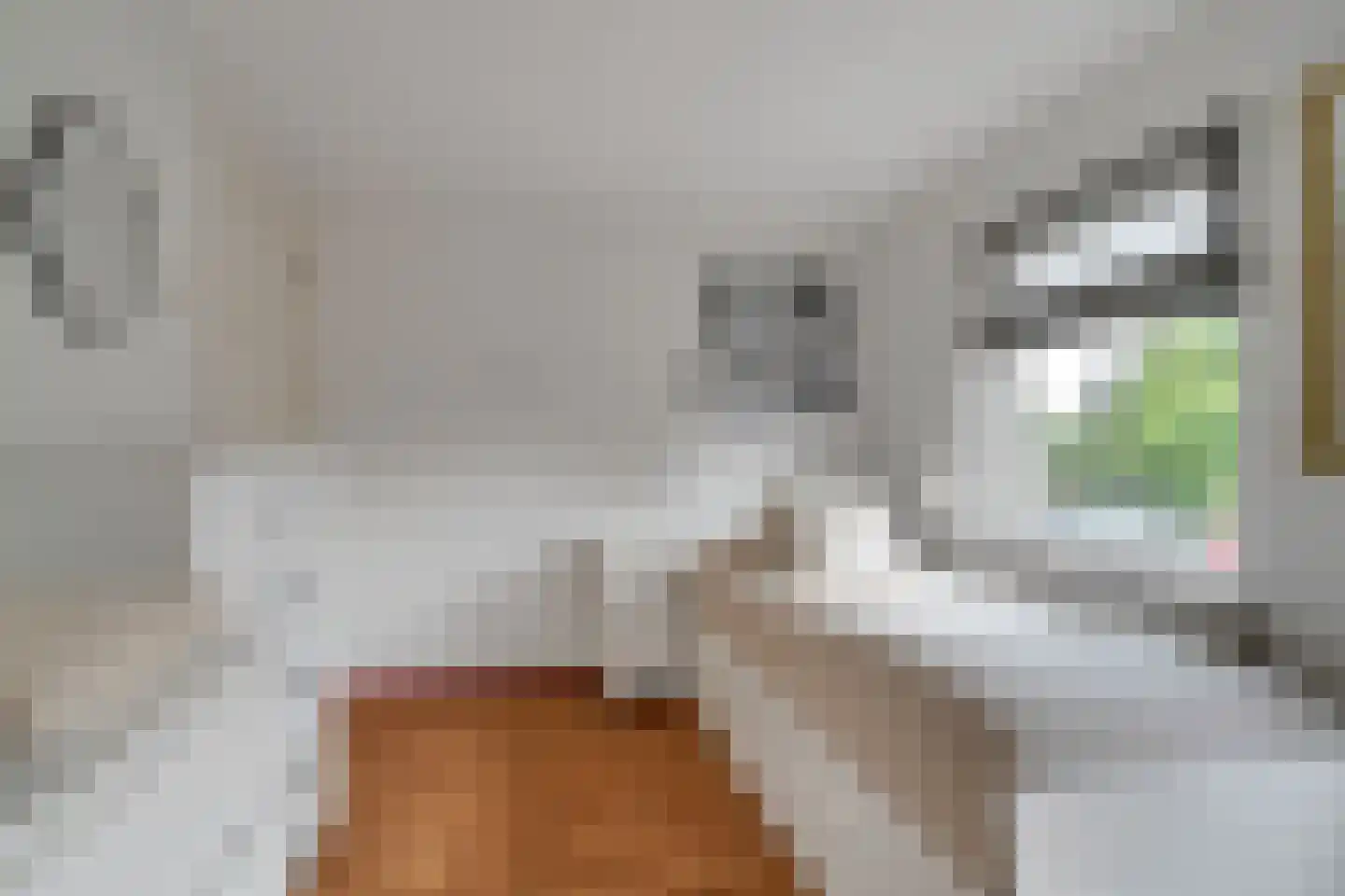 Molenstraat 33 Losser thumbnail 39