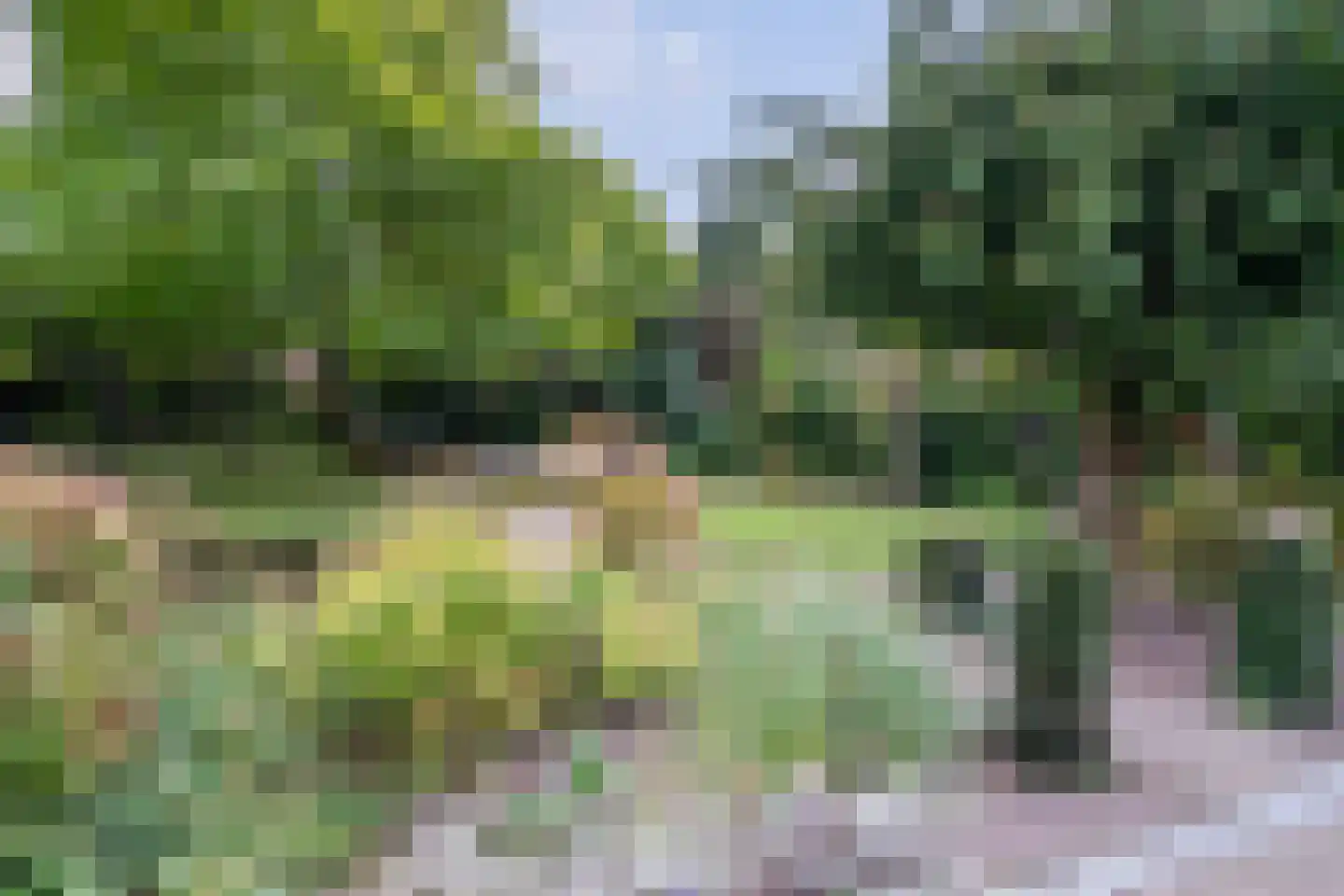 Molenstraat 33 Losser thumbnail 4