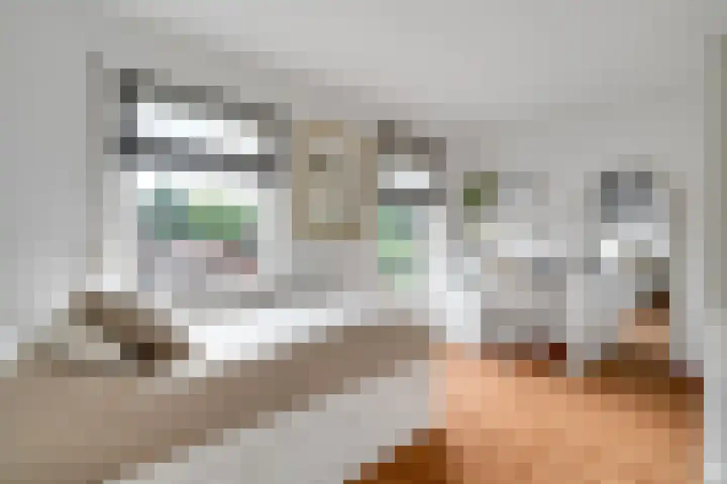 Molenstraat 33 Losser thumbnail 40