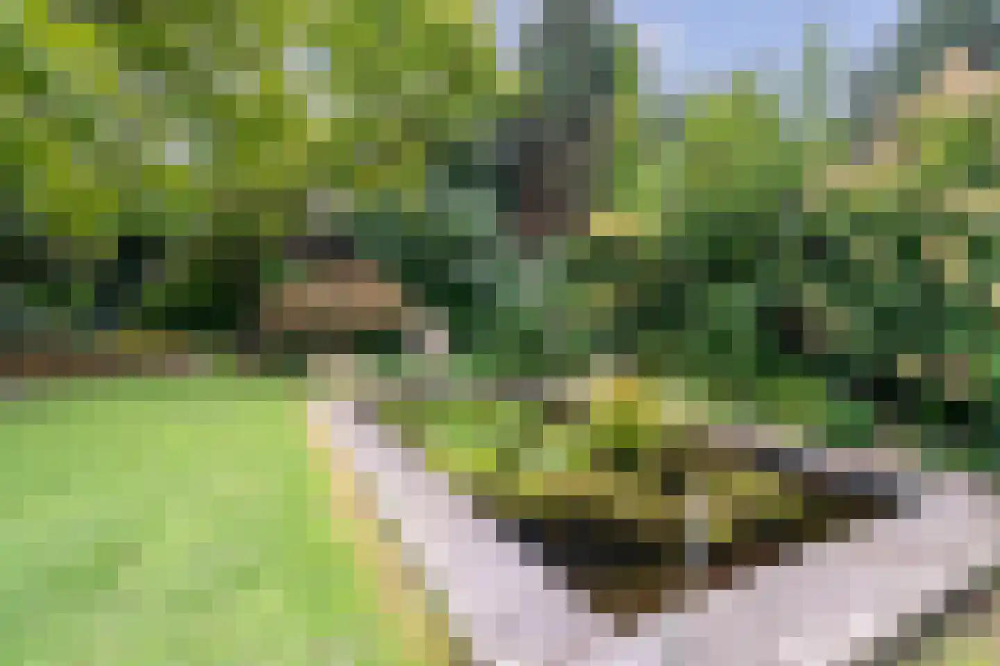 Molenstraat 33 Losser thumbnail 48