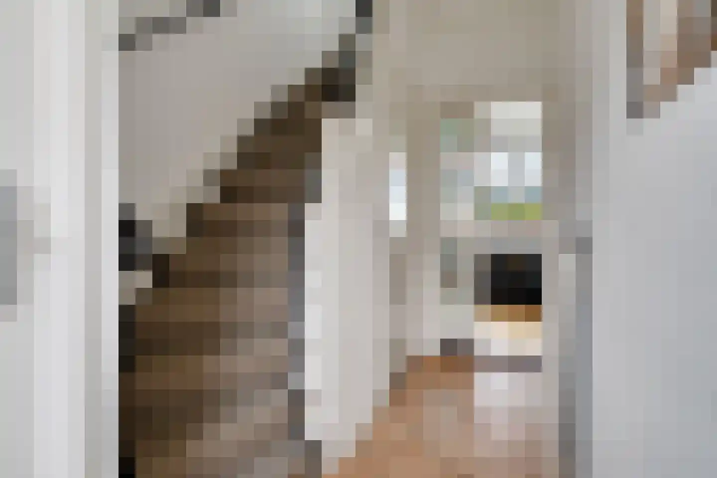 Molenstraat 33 Losser thumbnail 9