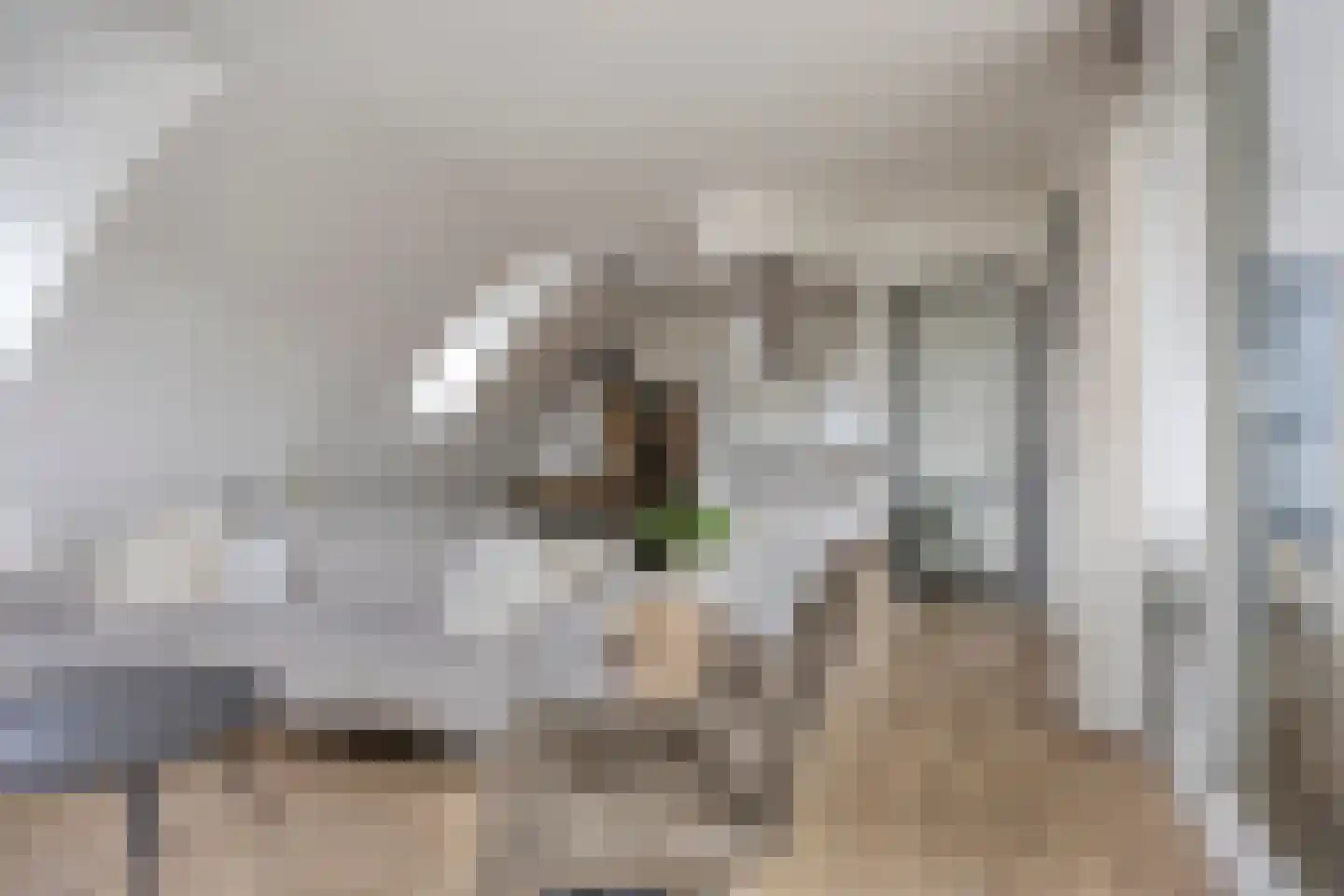 Molenstraat 33 N Veghel thumbnail 11