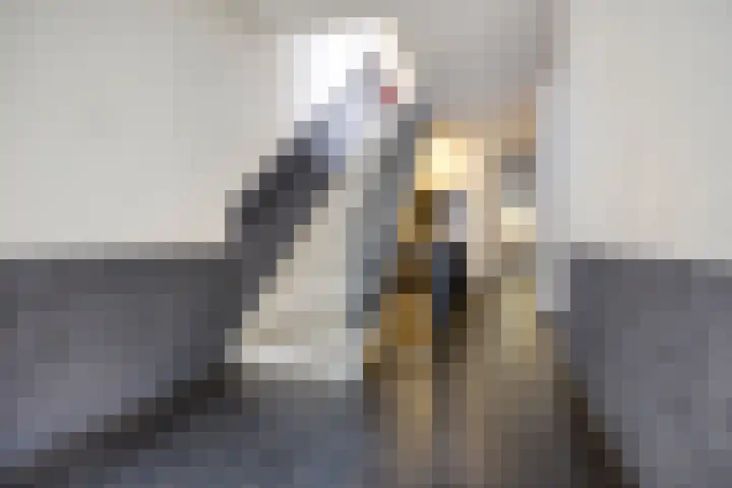 Molenstraat 33 N Veghel thumbnail 4