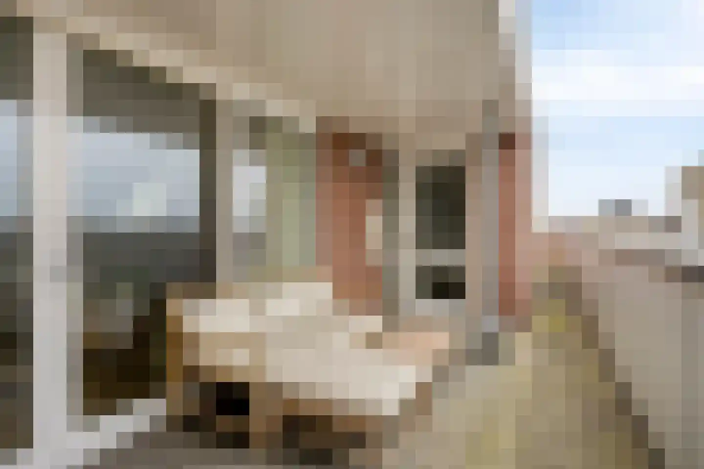 Molenstraat 33 N Veghel thumbnail 7