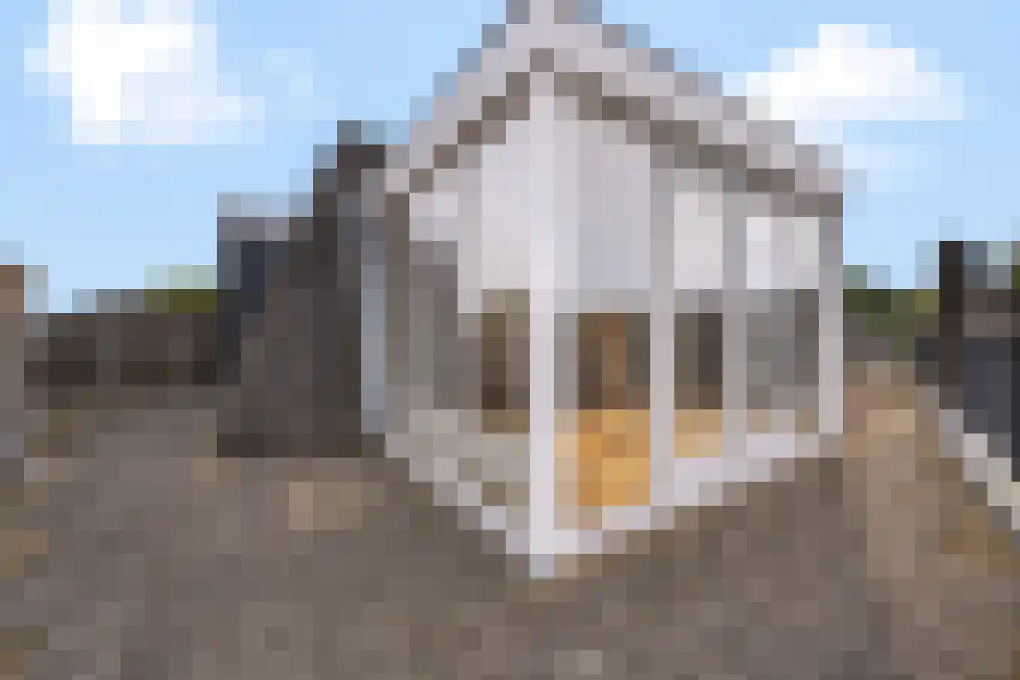 Molenstraat 34 Almelo thumbnail 22