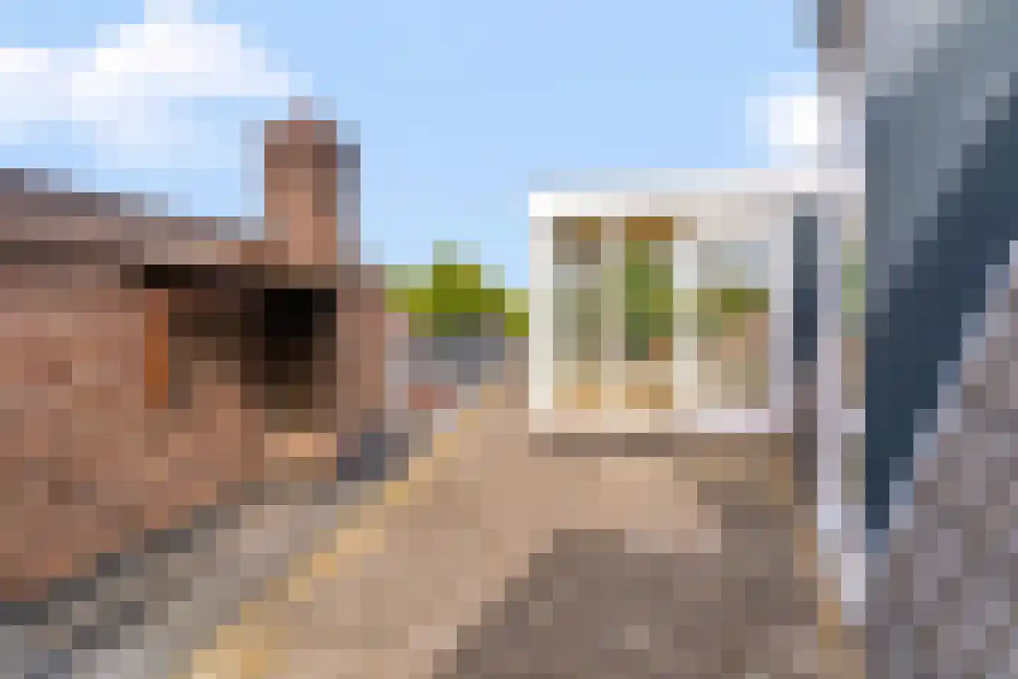 Molenstraat 34 Almelo thumbnail 23