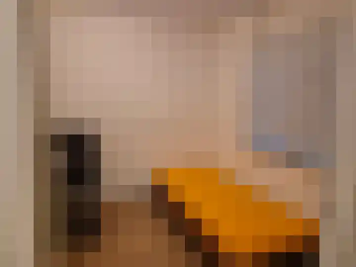 Molenstraat 34 Axel thumbnail 10