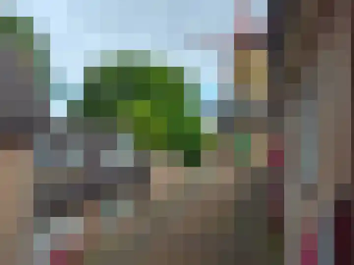 Molenstraat 34 Axel thumbnail 8