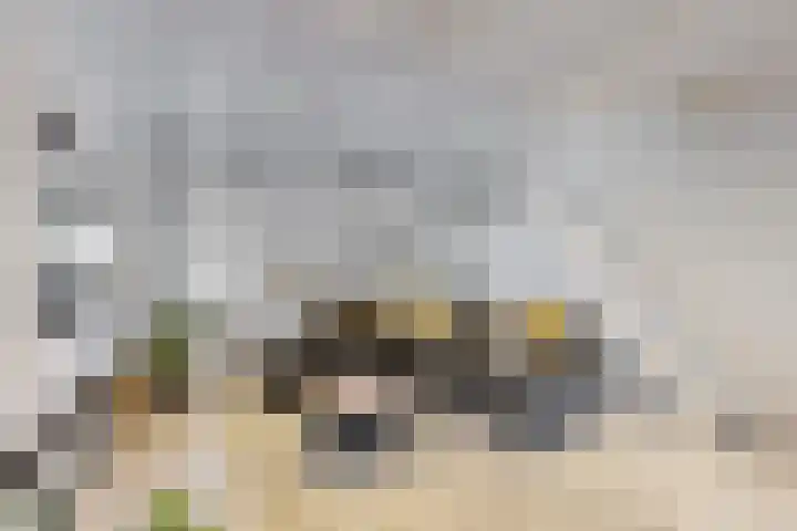 Molenstraat 34 Fijnaart thumbnail 10