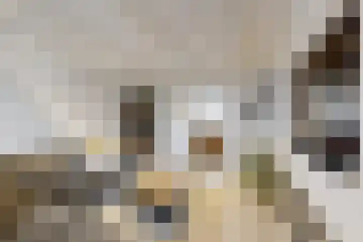 Molenstraat 34 Fijnaart thumbnail 11