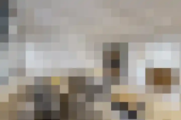 Molenstraat 34 Fijnaart thumbnail 12