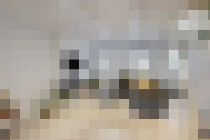Molenstraat 34 Fijnaart thumbnail 13