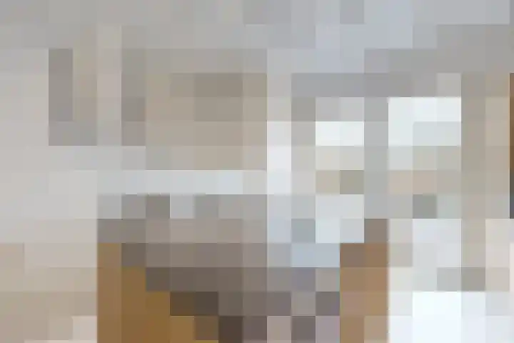 Molenstraat 34 Fijnaart thumbnail 16