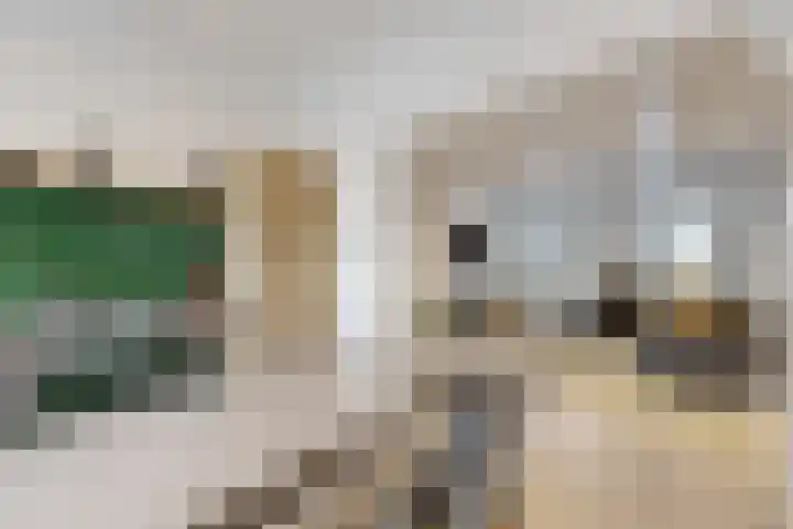 Molenstraat 34 Fijnaart thumbnail 21