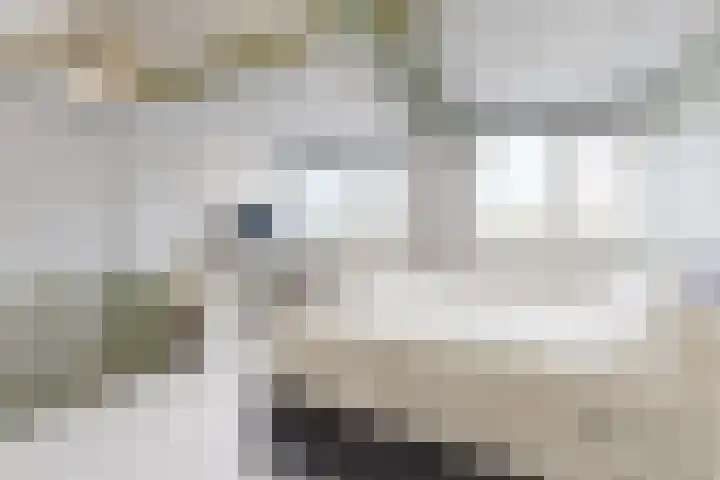 Molenstraat 34 Fijnaart thumbnail 23