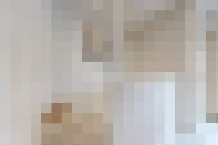 Molenstraat 34 Fijnaart thumbnail 26