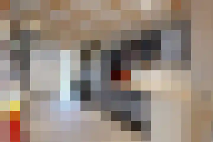 Molenstraat 34 Fijnaart thumbnail 30