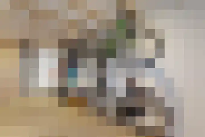 Molenstraat 34 Fijnaart thumbnail 32