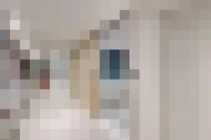 Molenstraat 34 Fijnaart thumbnail 35