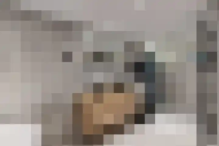 Molenstraat 34 Fijnaart thumbnail 38