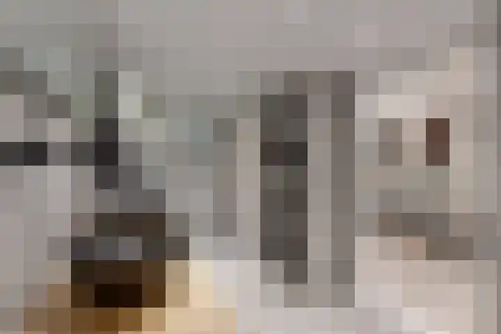 Molenstraat 34 Fijnaart thumbnail 39